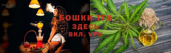 сатива Магас