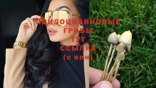 сатива Магас