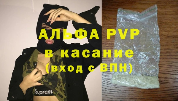 сатива Магас