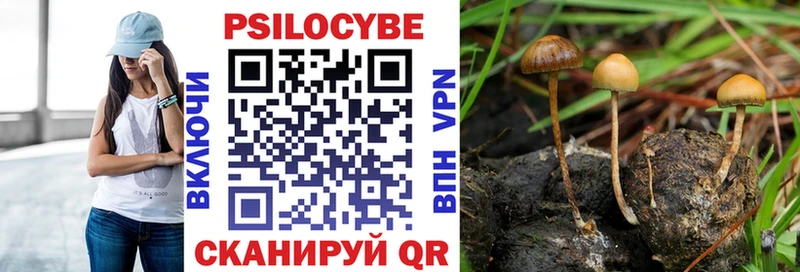 Галлюциногенные грибы MAGIC MUSHROOMS  кракен зеркало  Красногорск 