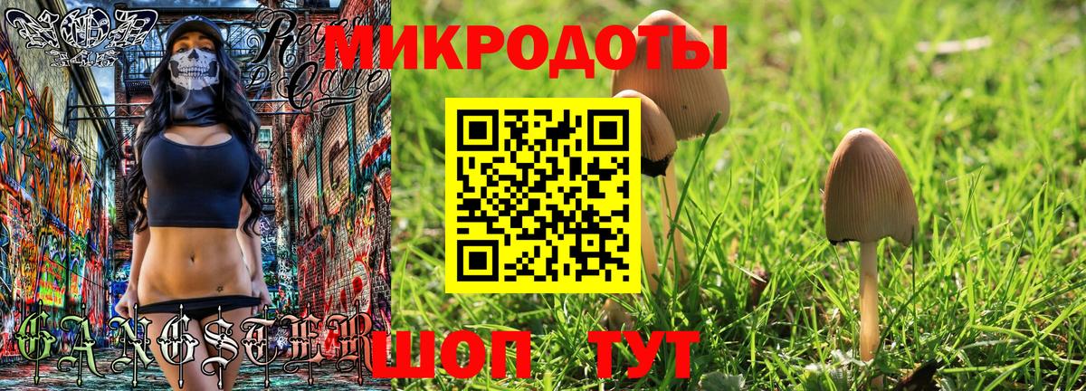 Псилоцибиновые грибы Magic Shrooms Красногорск