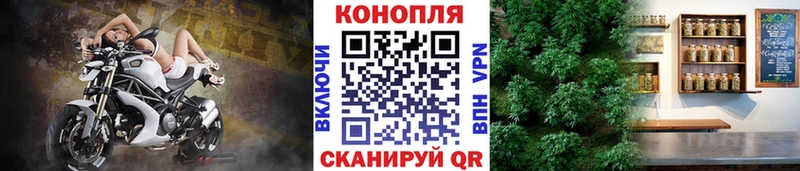 Бошки Шишки план Красногорск